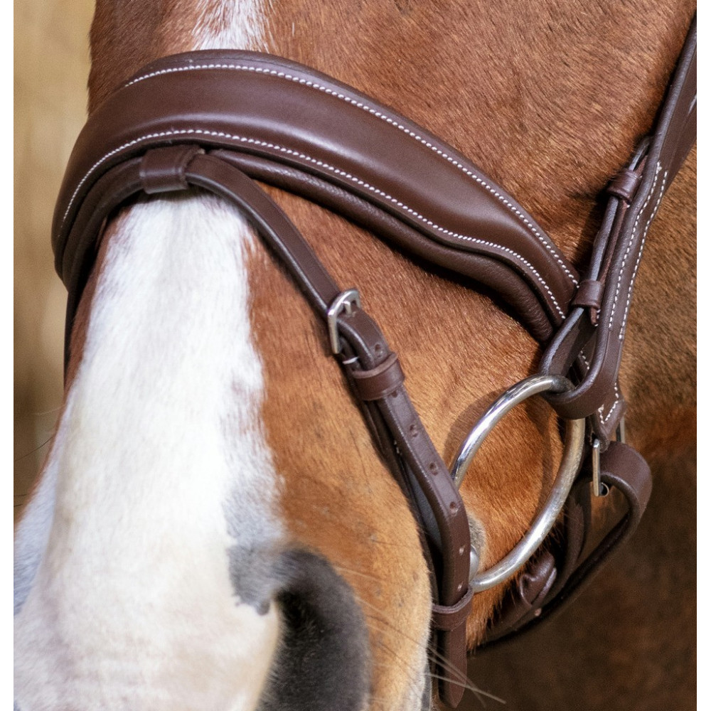 Bride Anglaise En Cuir Marron Pour Cheval Taille Full - Cavesson