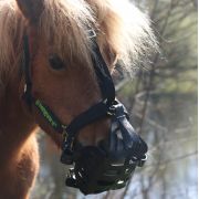 Licol Shires Greenguard – Noir, Taille Poney, En Nylon