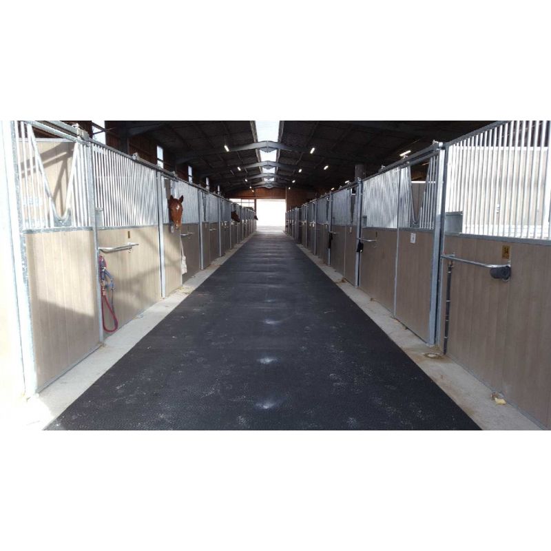 Tapis de selle d'équitation Saxon Defiant Numnah