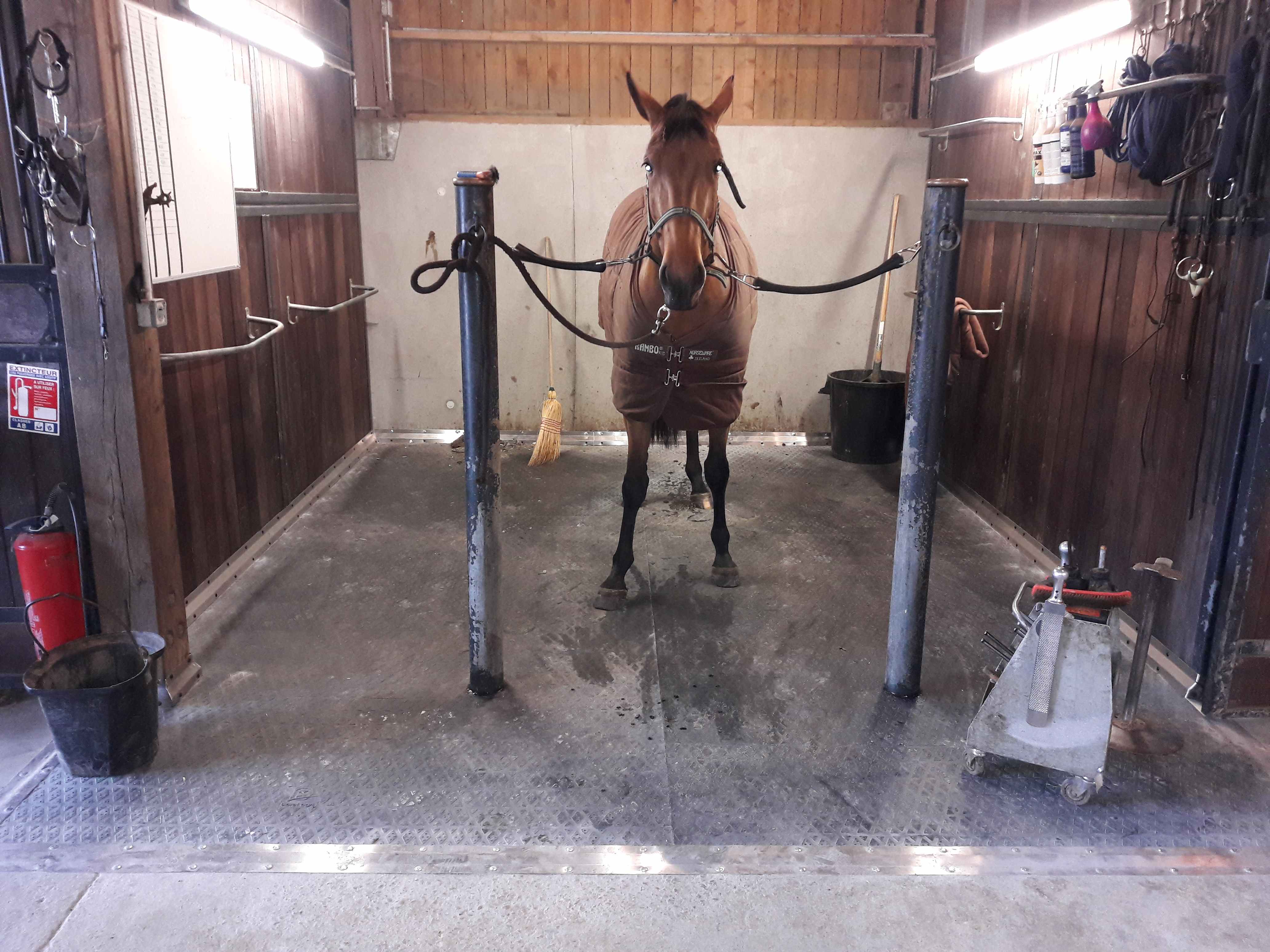 DELTA DIAM - SOL ALLEE ECURIE DELTA DIAM - SOL ALLEE ECURIE