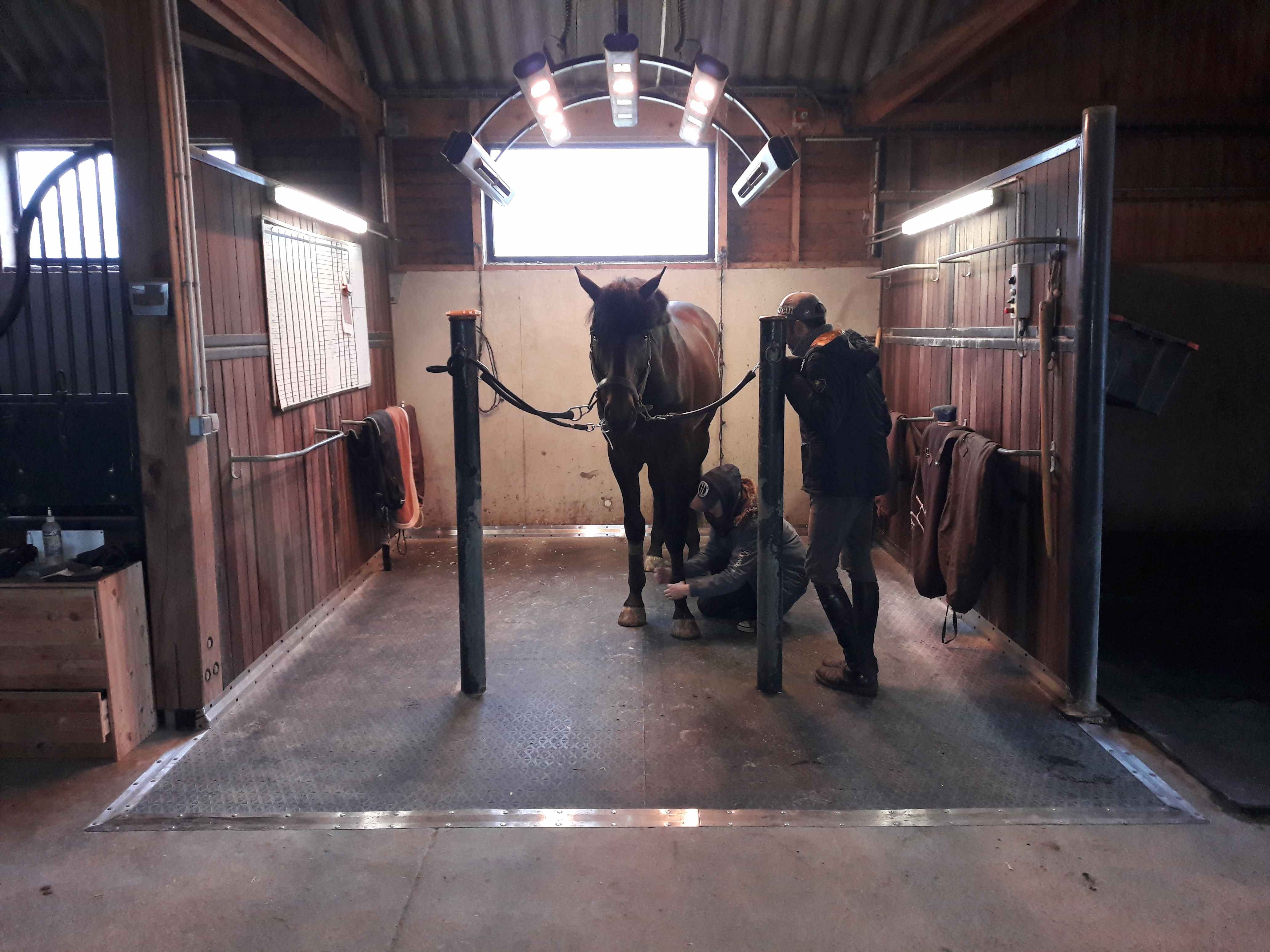 DELTA DIAM - SOL ALLEE ECURIE DELTA DIAM - SOL ALLEE ECURIE