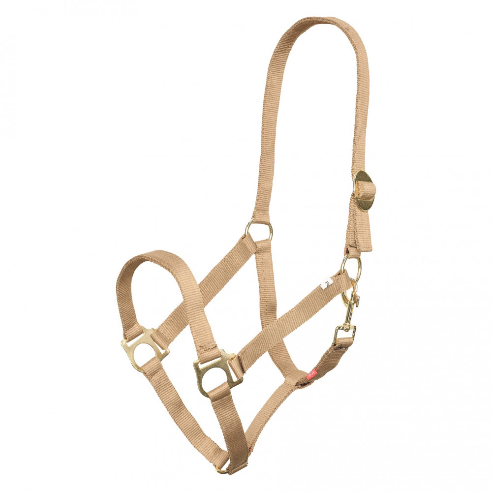 Longe Pour Licol Covalliero Vert Olive - Équitation Cheval - Nylon - Neuf