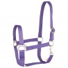 Licol Imperial Riding Economic - Royal Purple