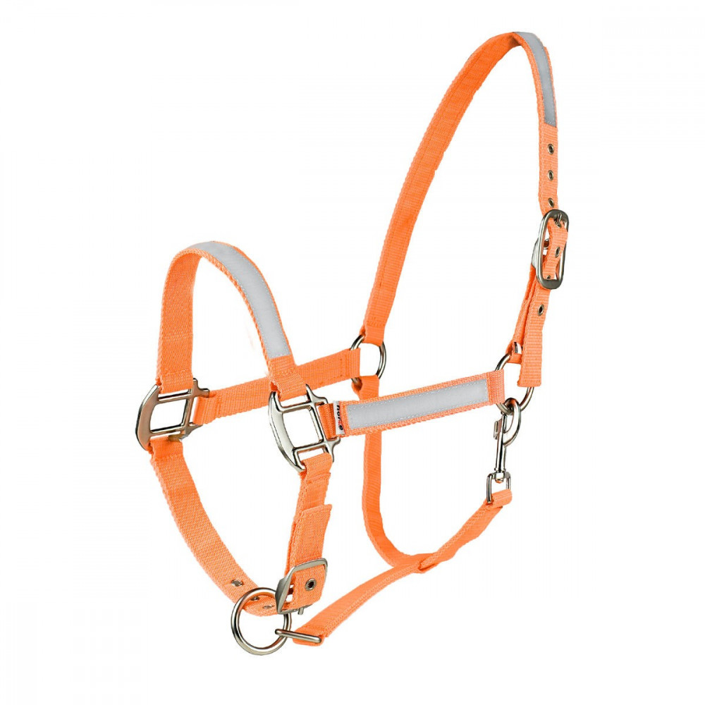 Gilet Réfléchissant Pour Cheval - Norme EN471 - Jaune Fluo Avec Bandes Réfléchissantes - Sécurité En Faible Visibilité