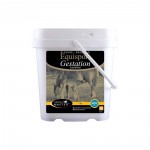 Equisport Gestation Lactation Horse Master Equisport Gestation Lactation Horse Master