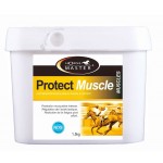 Protect Muscle Horse Master Protect Muscle Horse Master