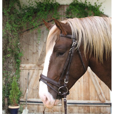 Lot D'attaches Cheval Exion En Cuir Brut - Noir/Marron - Taille COB