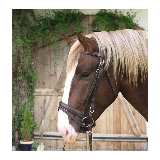 Bridon cuir cheval muserolle et tétière anatomique Ivy - Kavalkade
