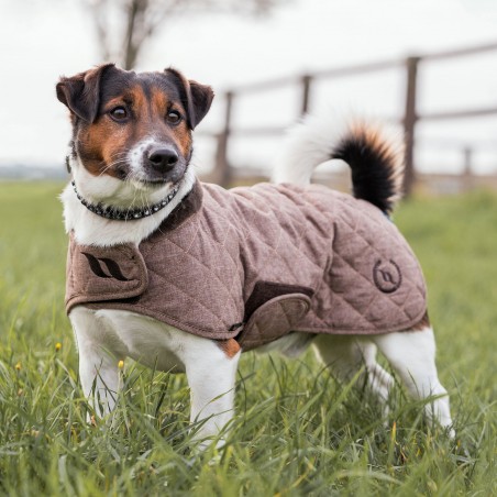 Manteau pour chien Back on Track® Haze Collection Marron