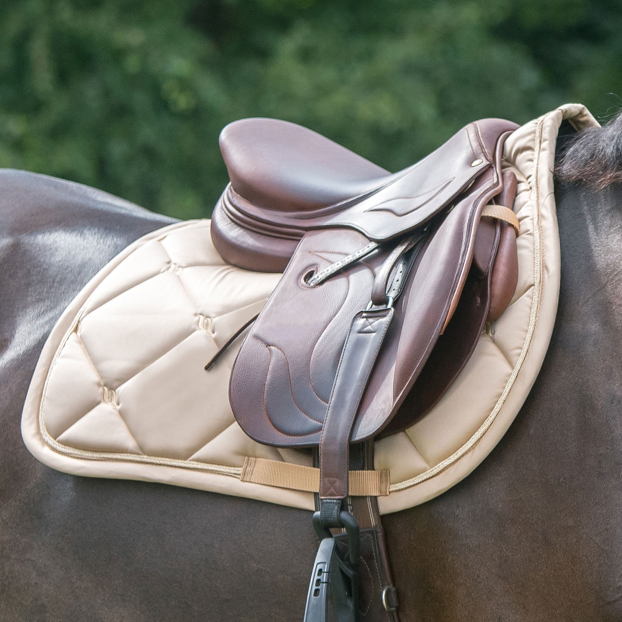 Tapis de Selle CSO Night Collection Back On Track Champagne Beige Tapis de Selle CSO Night Collection Back On Track Champagne Beige