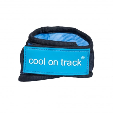 Bandana rafraîchissant Cool on Track Back on Track Bleu
