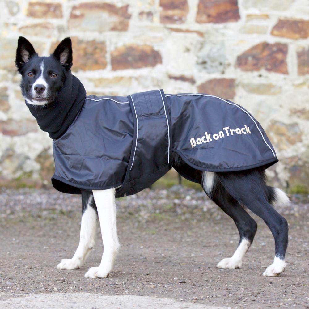 Manteau discount pour whippet