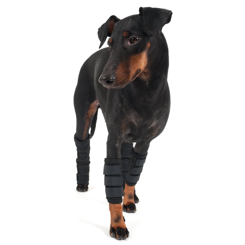 Protection des pattes avant pour chien Back on Track