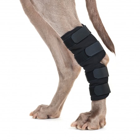 Protections chien pour pattes arrières Back on Track Noir