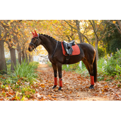 Tapis de selle rose/blanc Equestro Forme tapis Mixte Tailles article cheval  Cheval