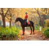 Tapis LeMieux Luxury Dressage Square Sienna Tapis LeMieux Luxury Dressage Square Sienna