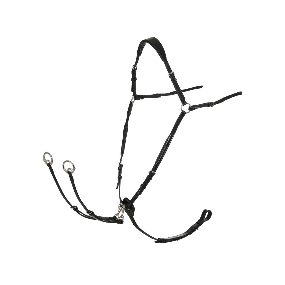 Collier de chasse LeMieux Élégance et fonctionnalités pratiques