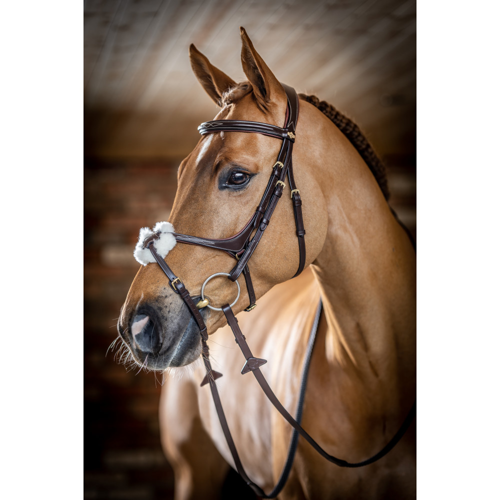 Mors Doux Confortable Bridon Cheval Réglable Rouge - Harnais Avec Rênes, Mors Doux, Pour Chevaux De Selle Rênes Cheval Confortables