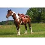 DECO SYNTHETIC WESTERN SADDLE DECO SYNTHETIC WESTERN SADDLE