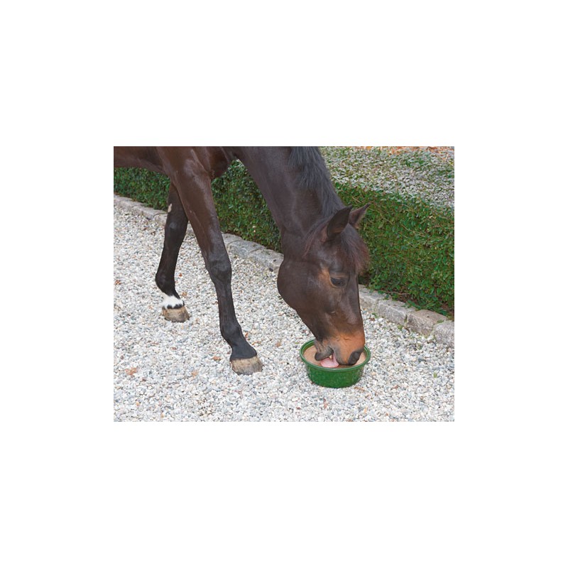 DELIZIA HORSE LICK TUB BRONCHIAL Kerbl