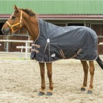 Couverture Equi-Theme Tyrex 1200 D High Neck 150g Gris / orange Couverture Equi-Theme Tyrex 1200 D High Neck 150g Gris / orange