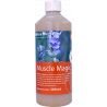 Muscle Magic Hilton Herbs Muscle Magic Hilton Herbs