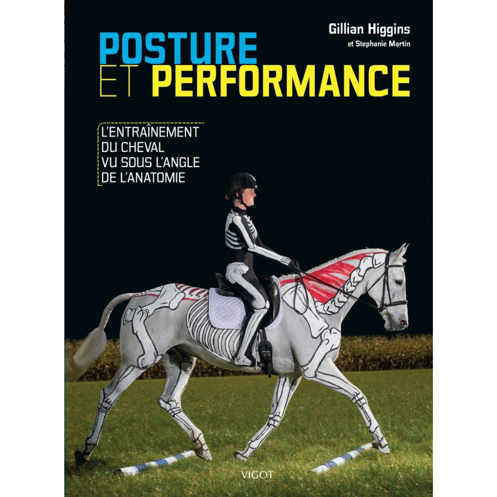 Galop 4, la posture du cavalier à cheval à l'obstacle - Galop