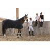 Chemise Equi-Theme Cool Dry Chemise Equi-Theme Cool Dry