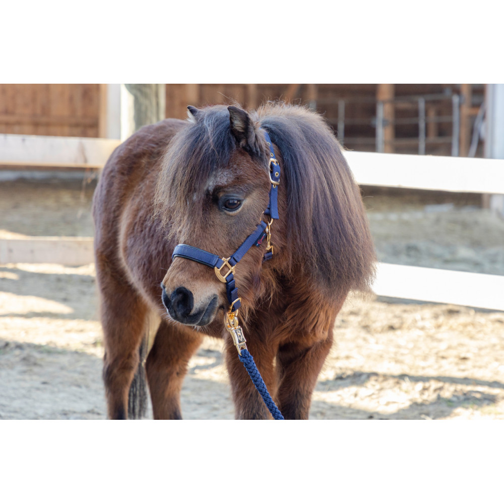 Longe De Licol Marine – Covalliero – Nylon, Cheval – équitation