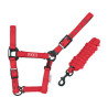 Licol Pool's nylon boucles noires avec longe - Rouge