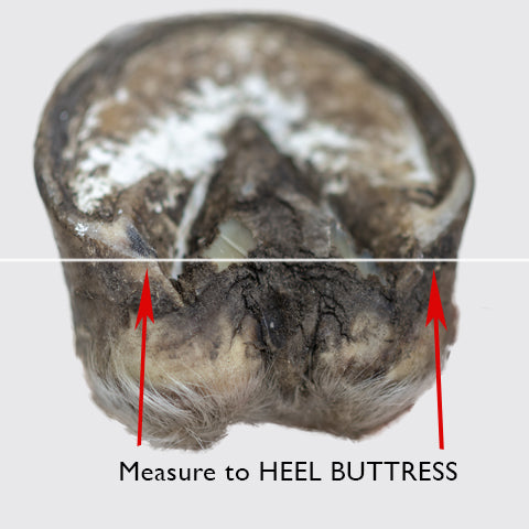 Mesure de la largeur des Scootboots