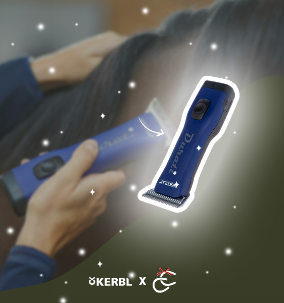 Tentez de remporter une tondeuse ! 🎄