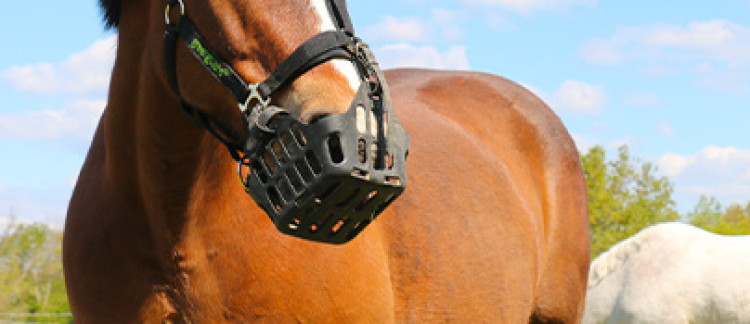 Greenguard, Thinline