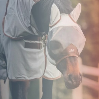 Horseware, Equithème, Horze, LeMieux...