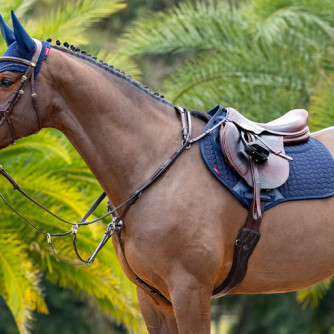 LeMieux, Equithème, Harcour...