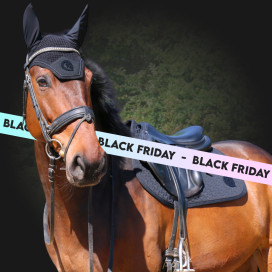 Black Friday : cheval