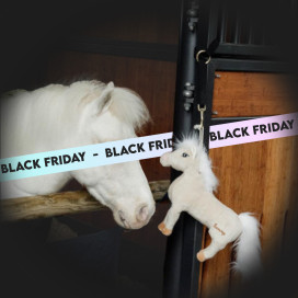 Black Friday : jouets