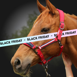 Black Friday : licols & longes