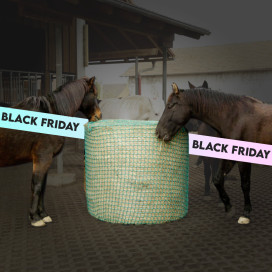 Black Friday : écurie