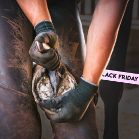 Black Friday : maréchalerie