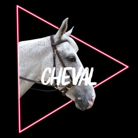 Black Friday : cheval