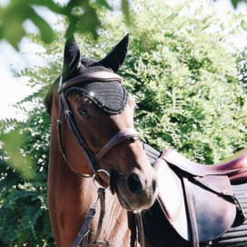 Bonnet Kentucky