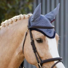 Bonnet Lemieux
