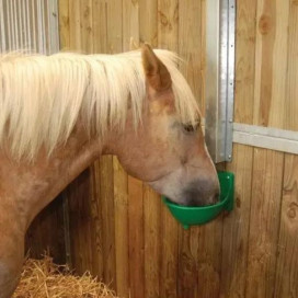 Abreuvoir automatique