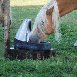 Abreuvoir chevaux