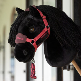 Licol hobby horse