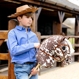 Hobby horse Lemieux