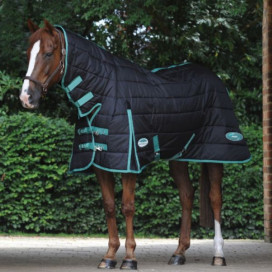 Couverture 150g cheval