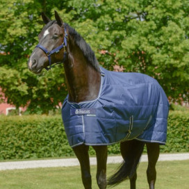 Couverture 300g cheval