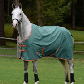 Couverture 50g cheval